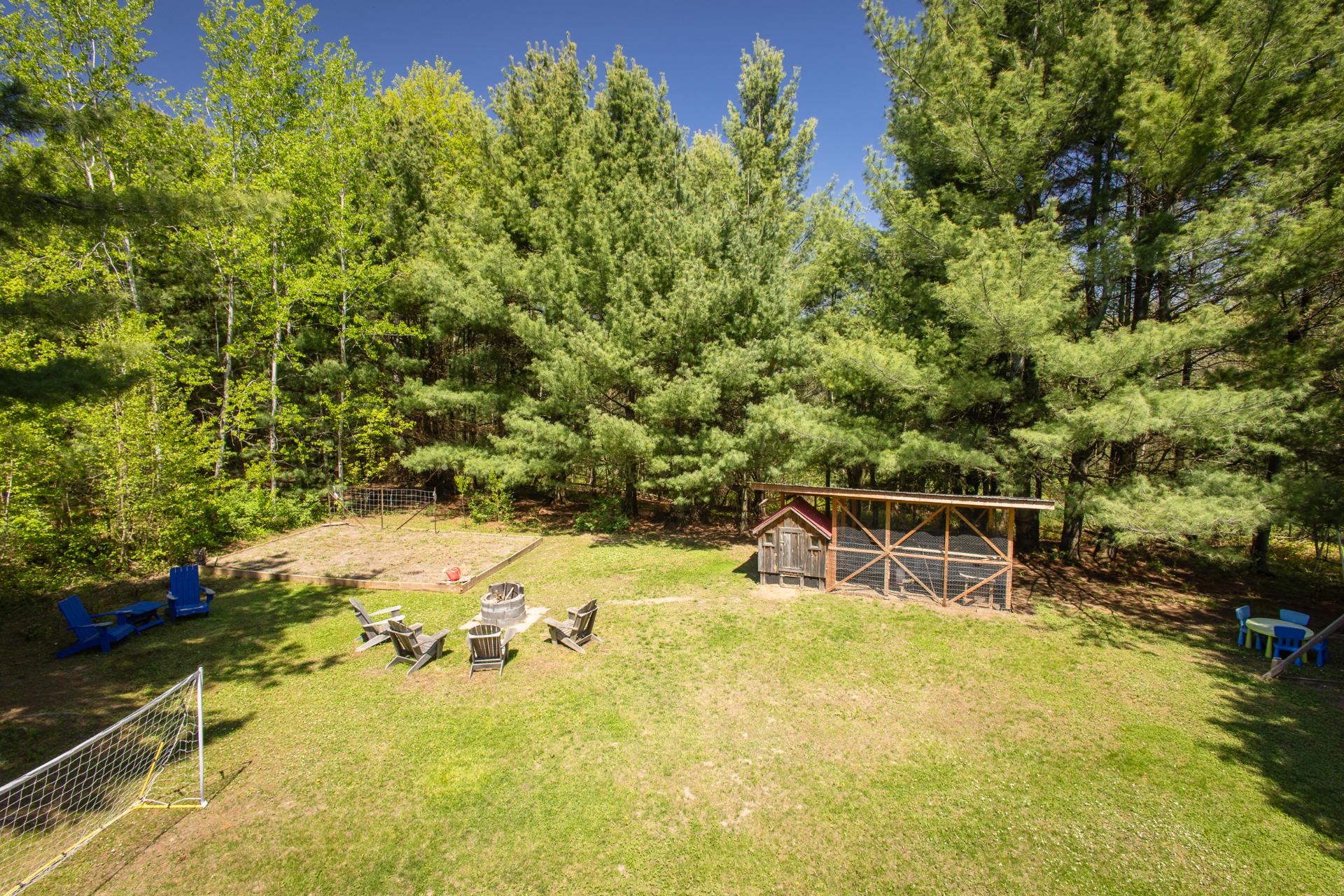 Backyard