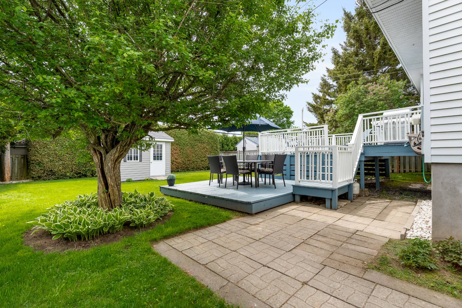 Photo - Backyard