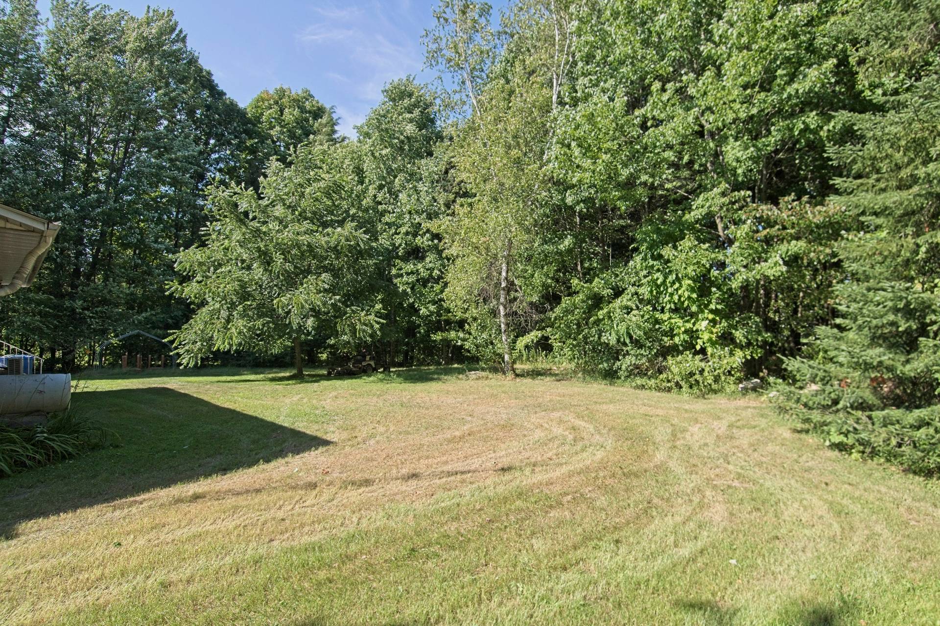 Photo - Backyard