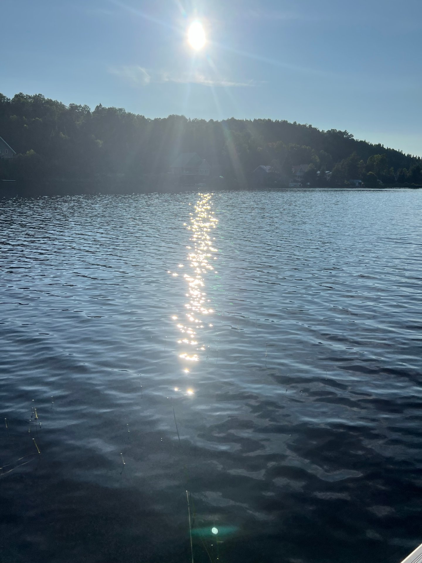 Vue sur l'eau
