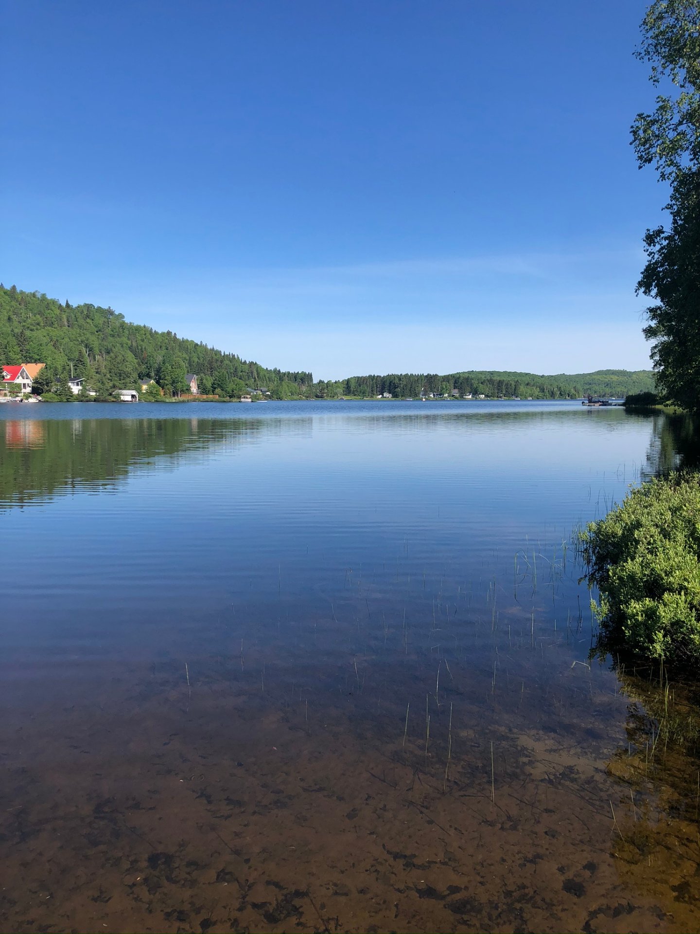 Vue sur l'eau
