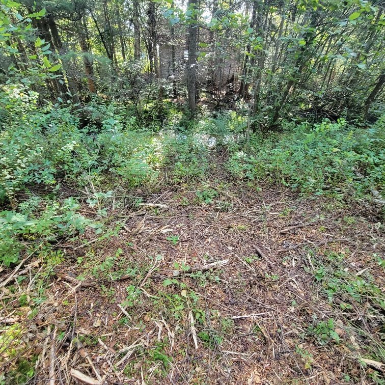 Terre/Terrain