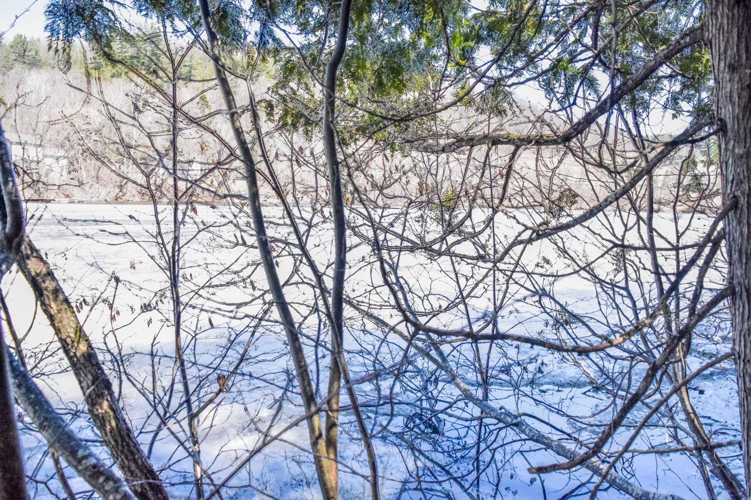 Vue sur l'eau