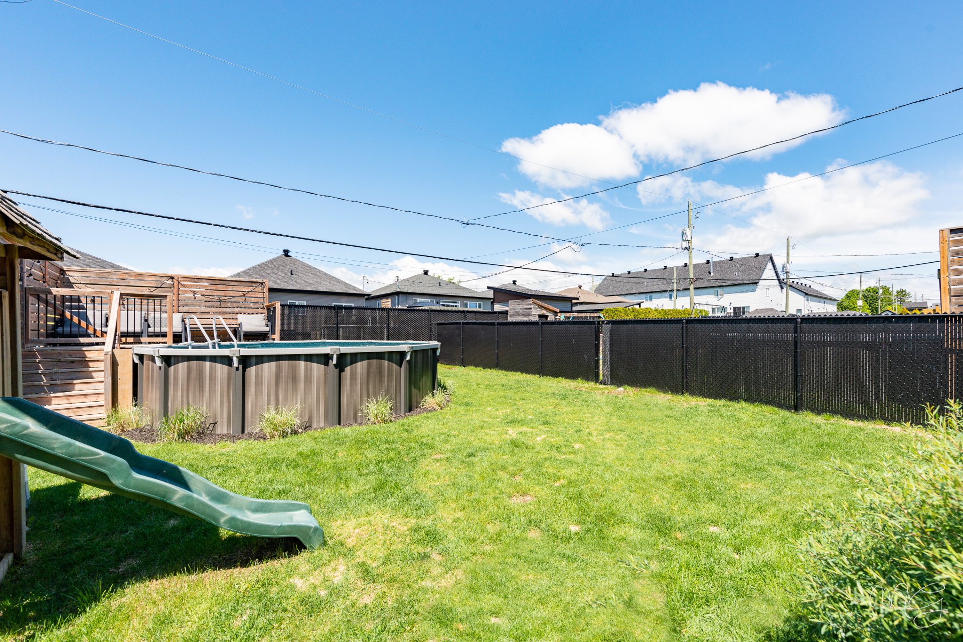 Photo - Backyard