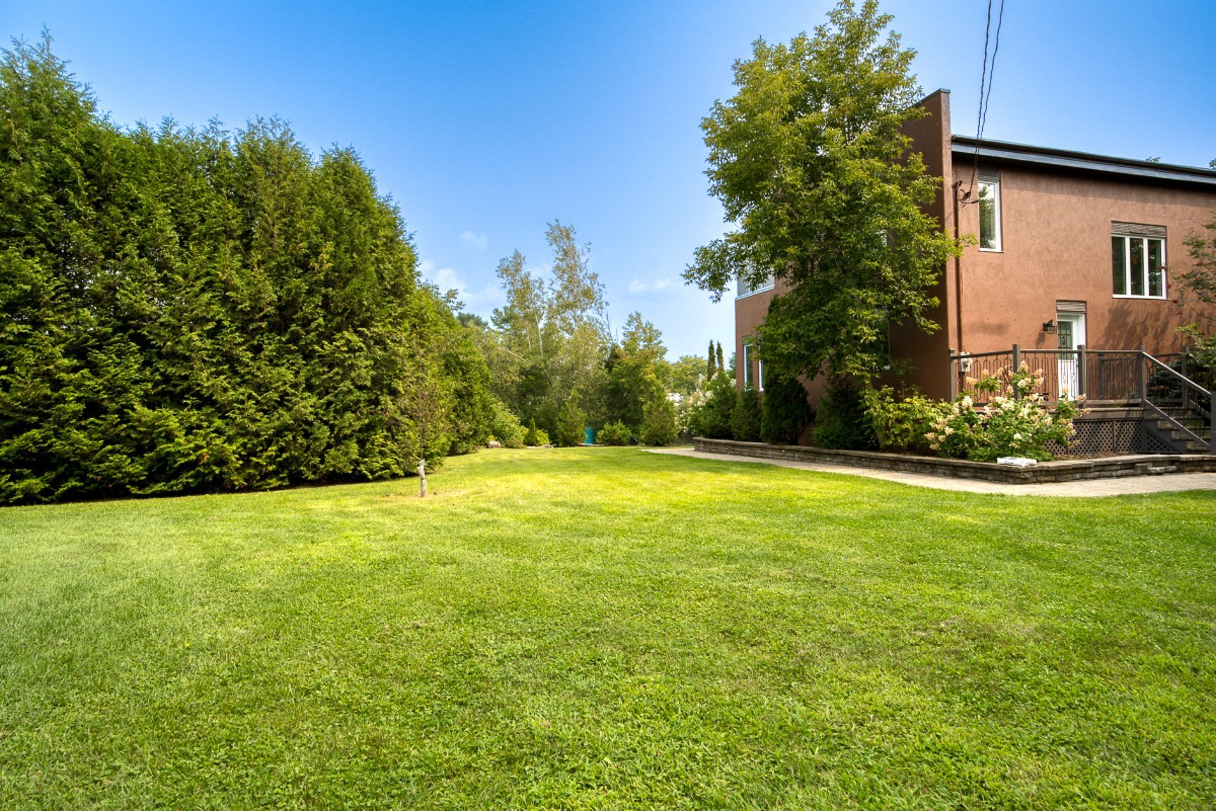Backyard
