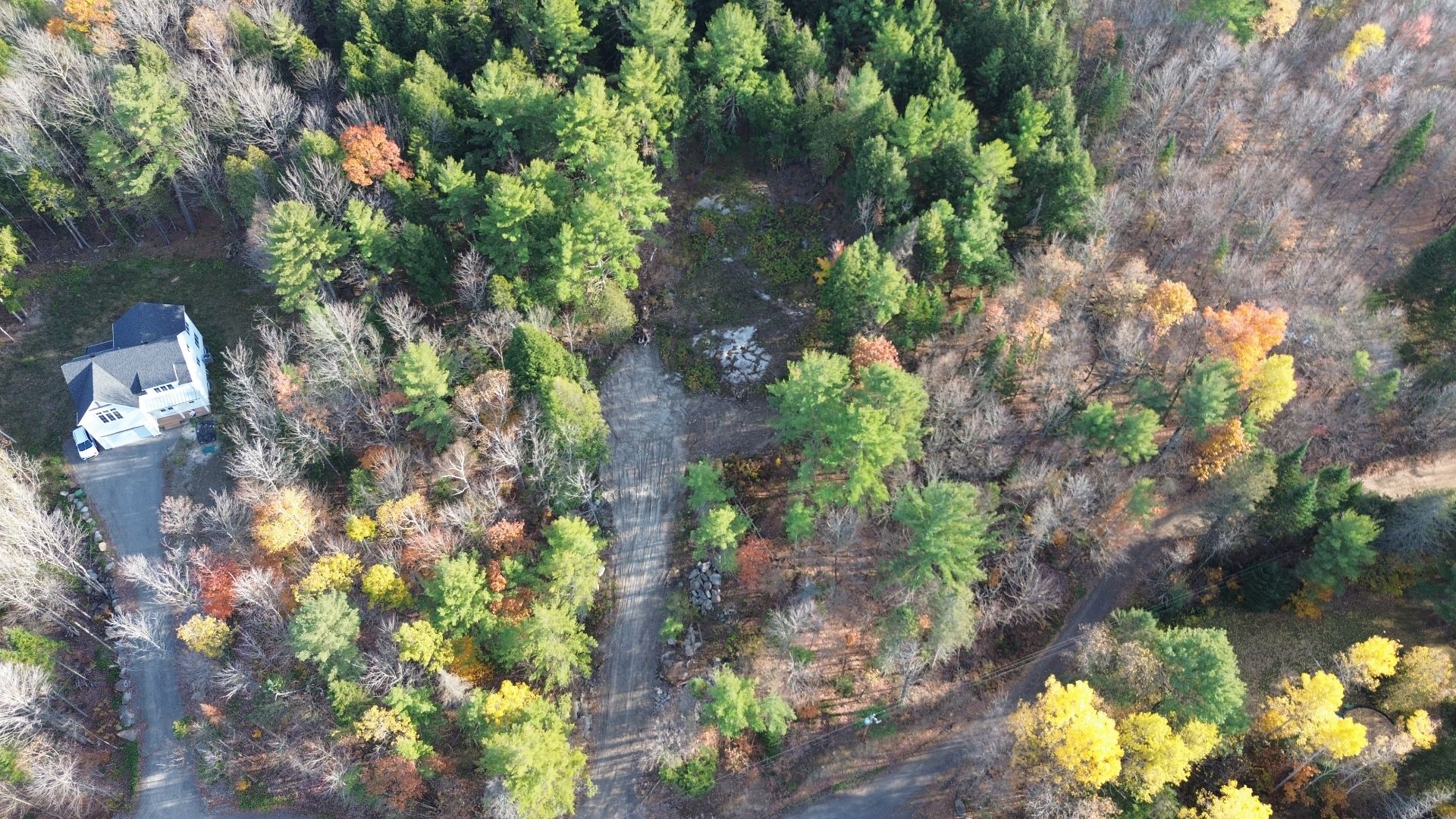 Photo - Aerial photo