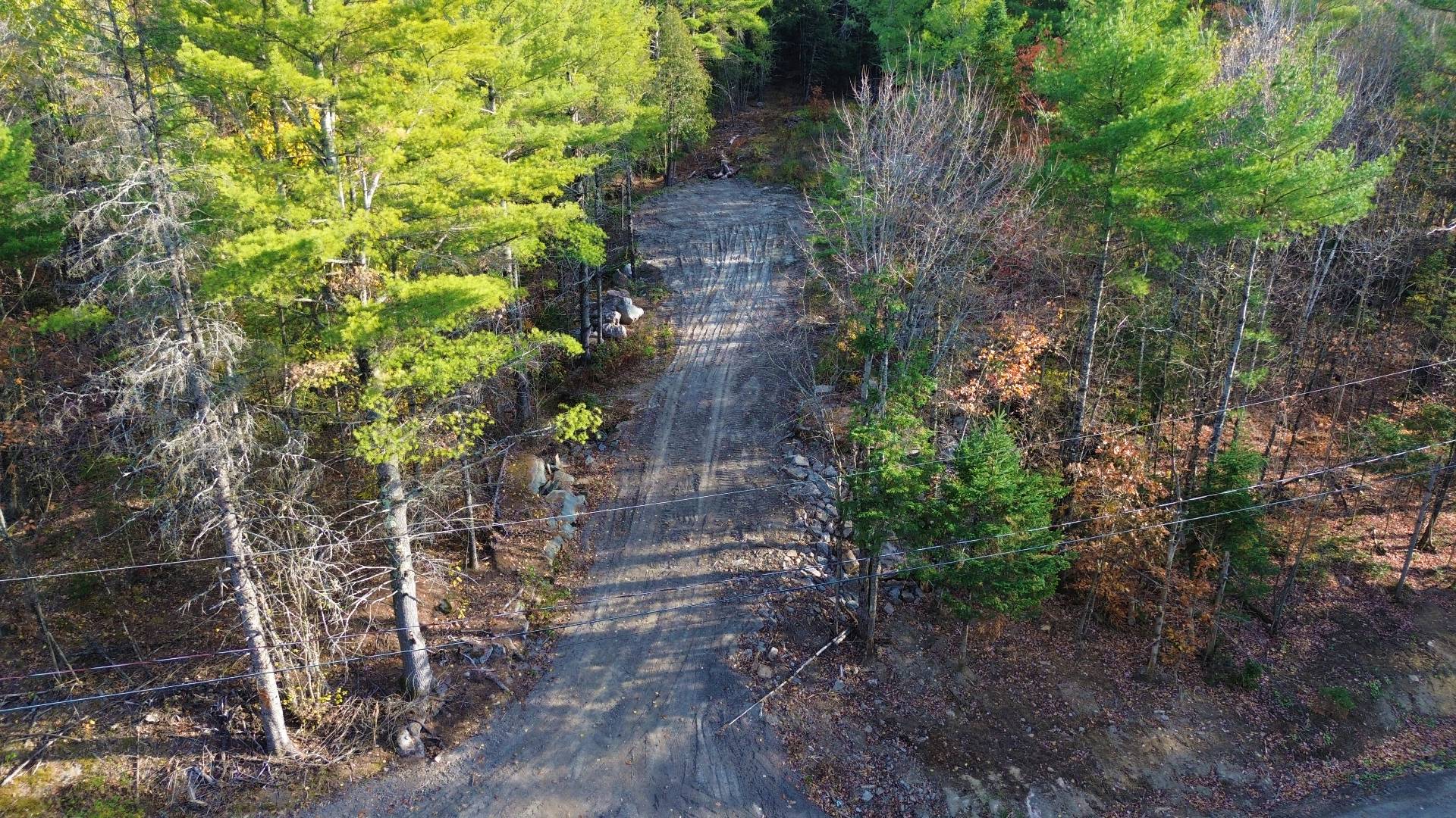 Photo - Aerial photo