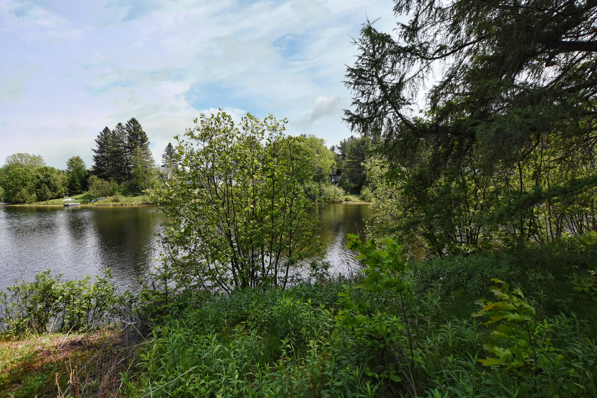 Vue sur l'eau
