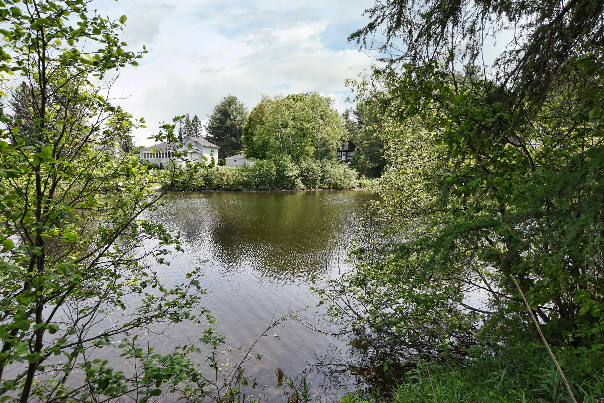 Vue sur l'eau