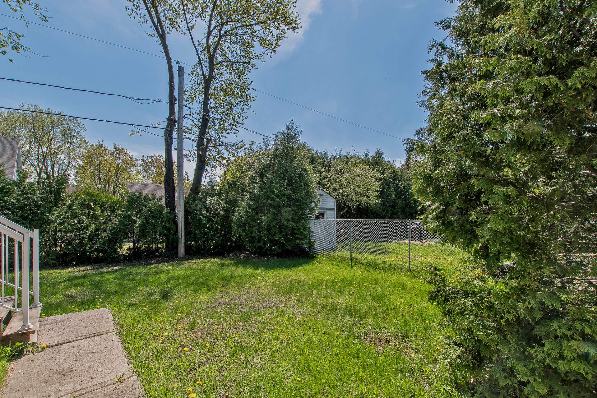 Backyard