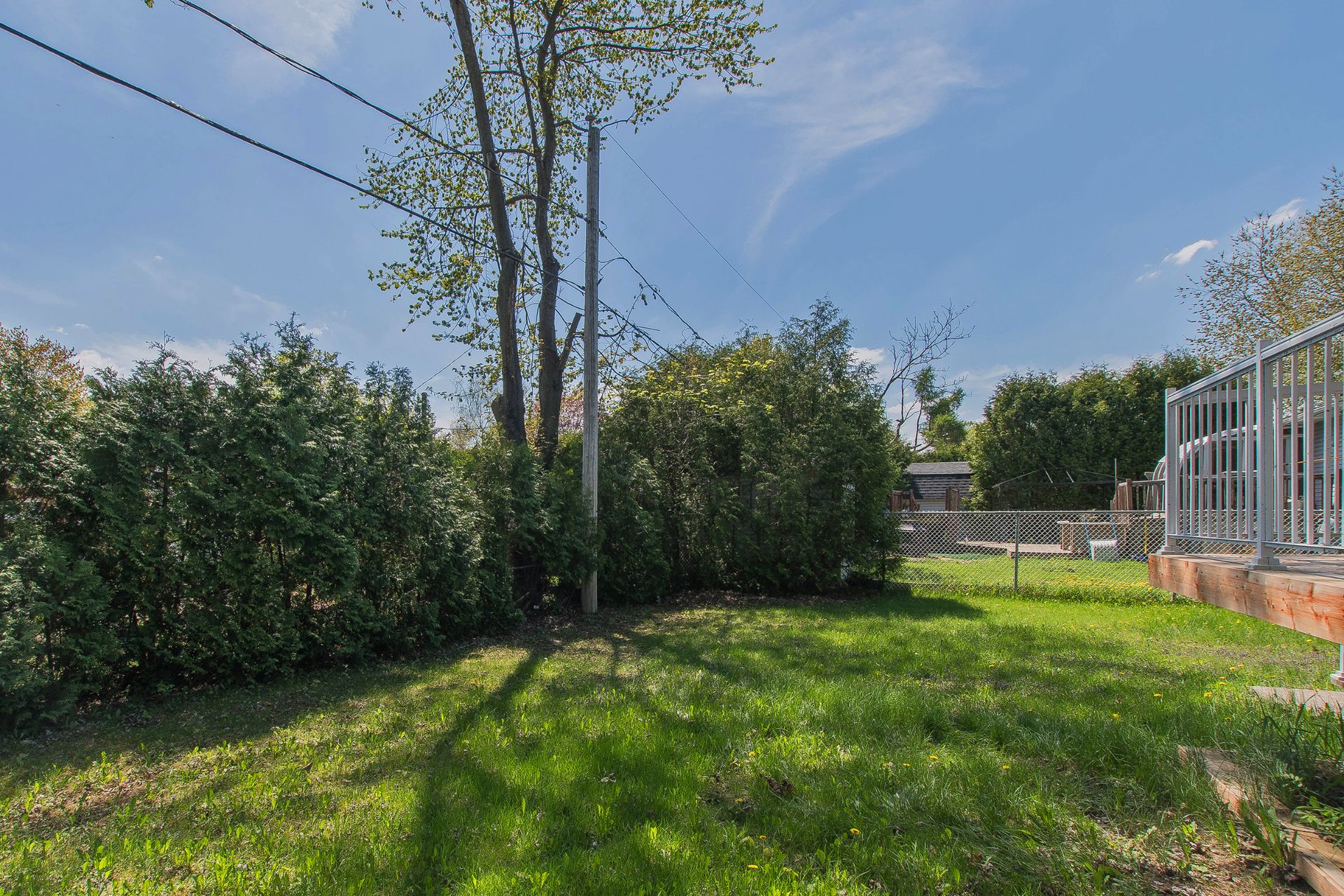 Backyard
