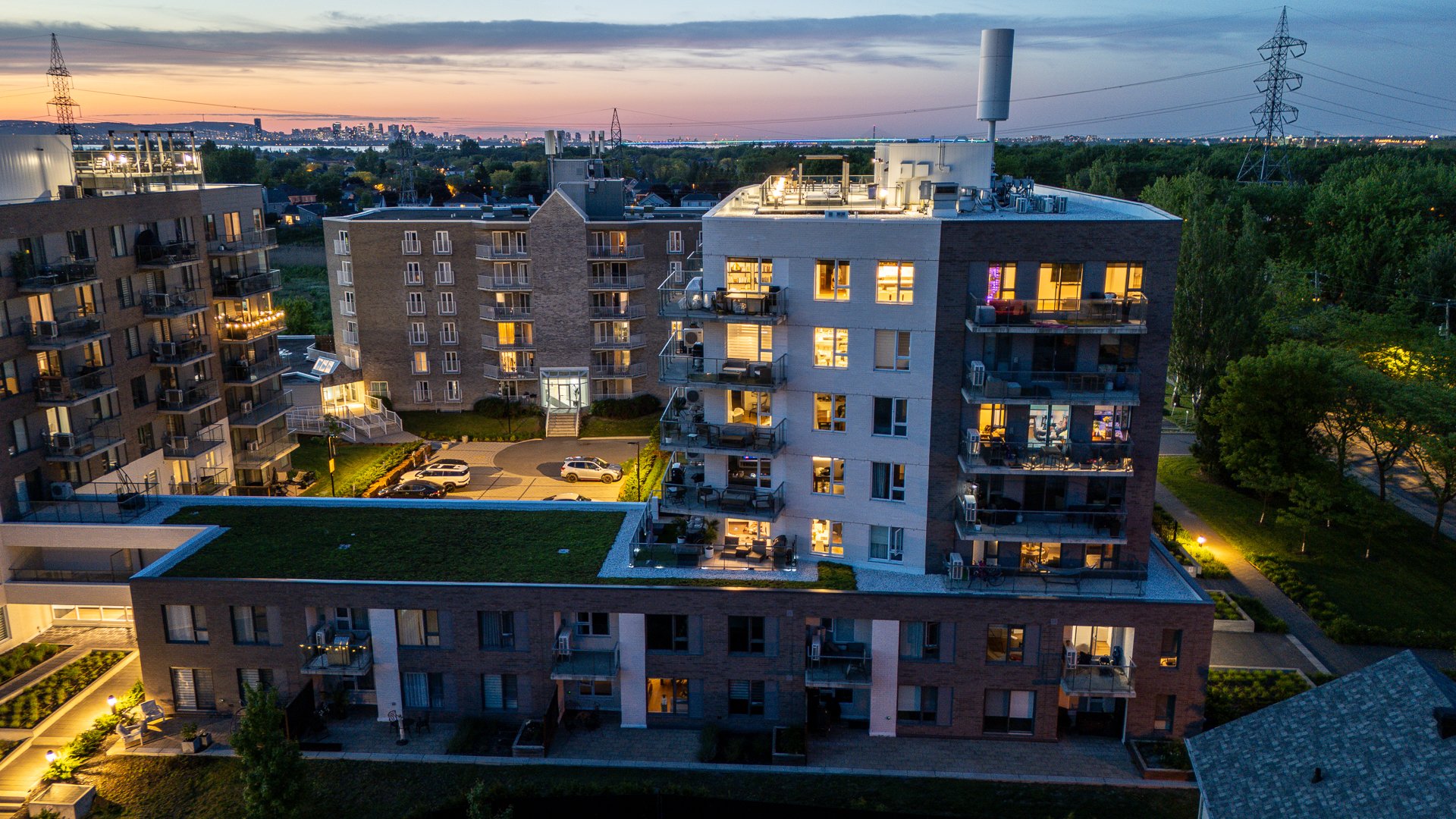 Vue