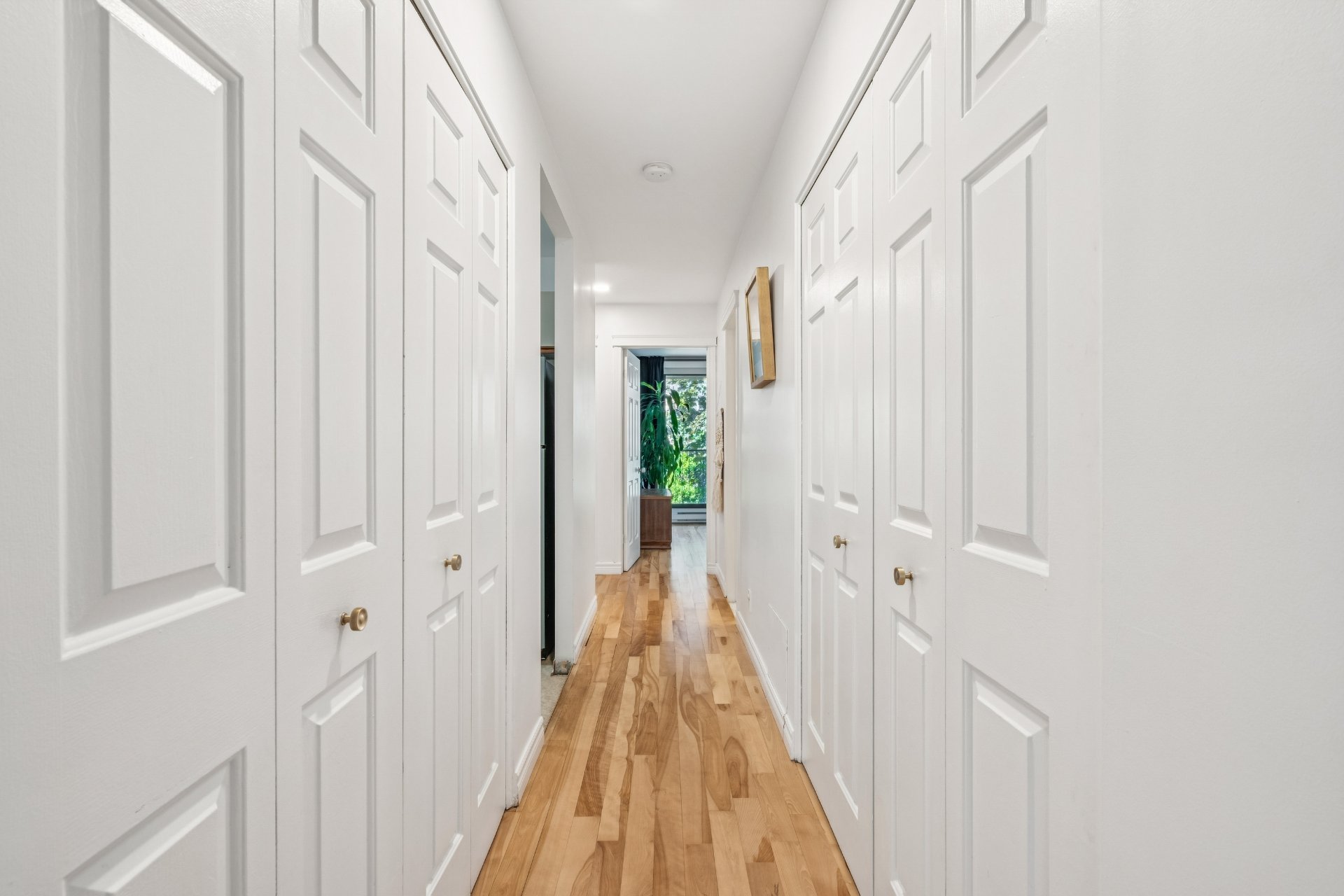 Photo - PASAGEWAY