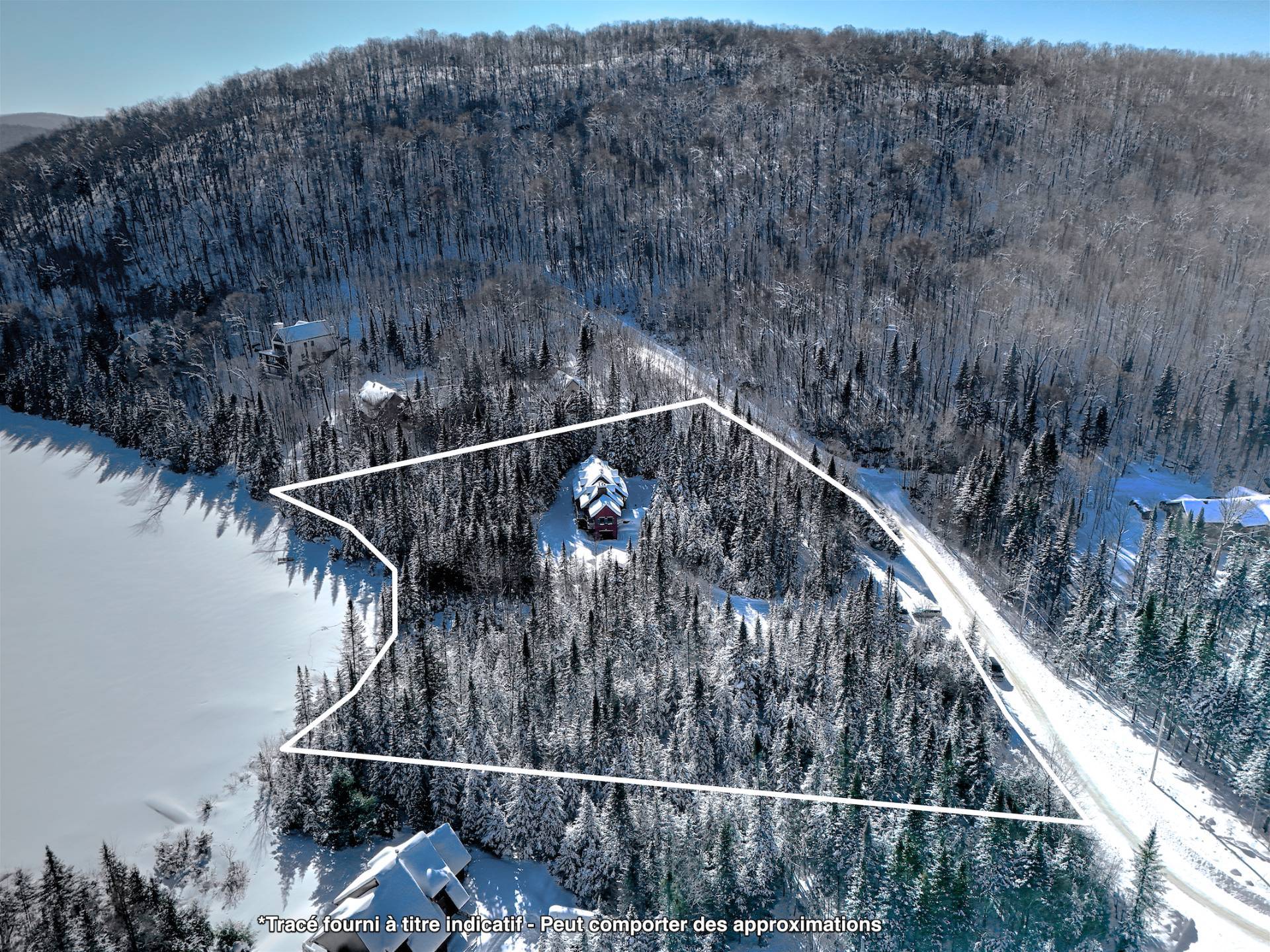 Photo - Aerial photo