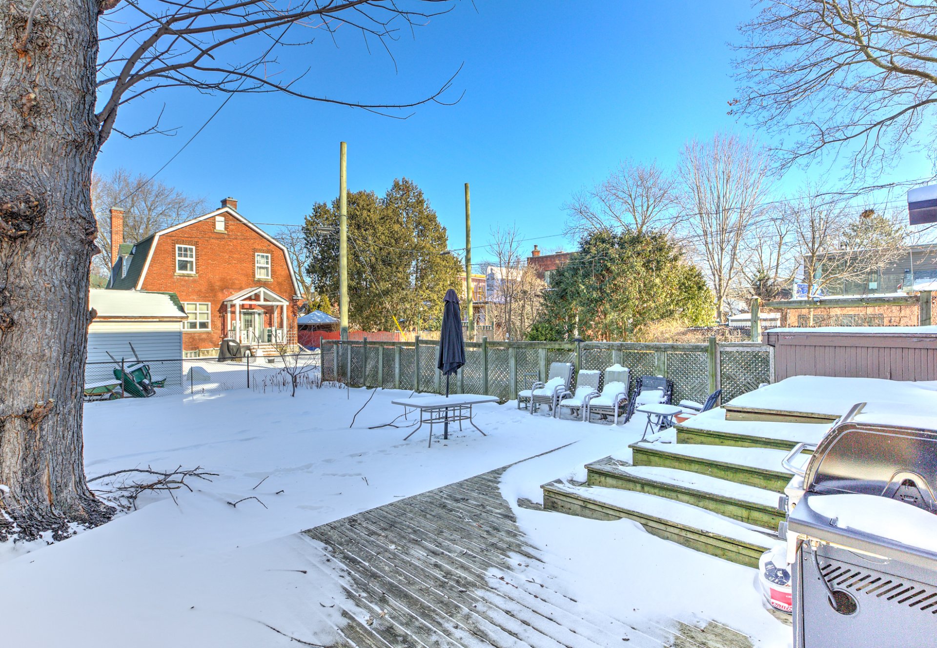 Backyard