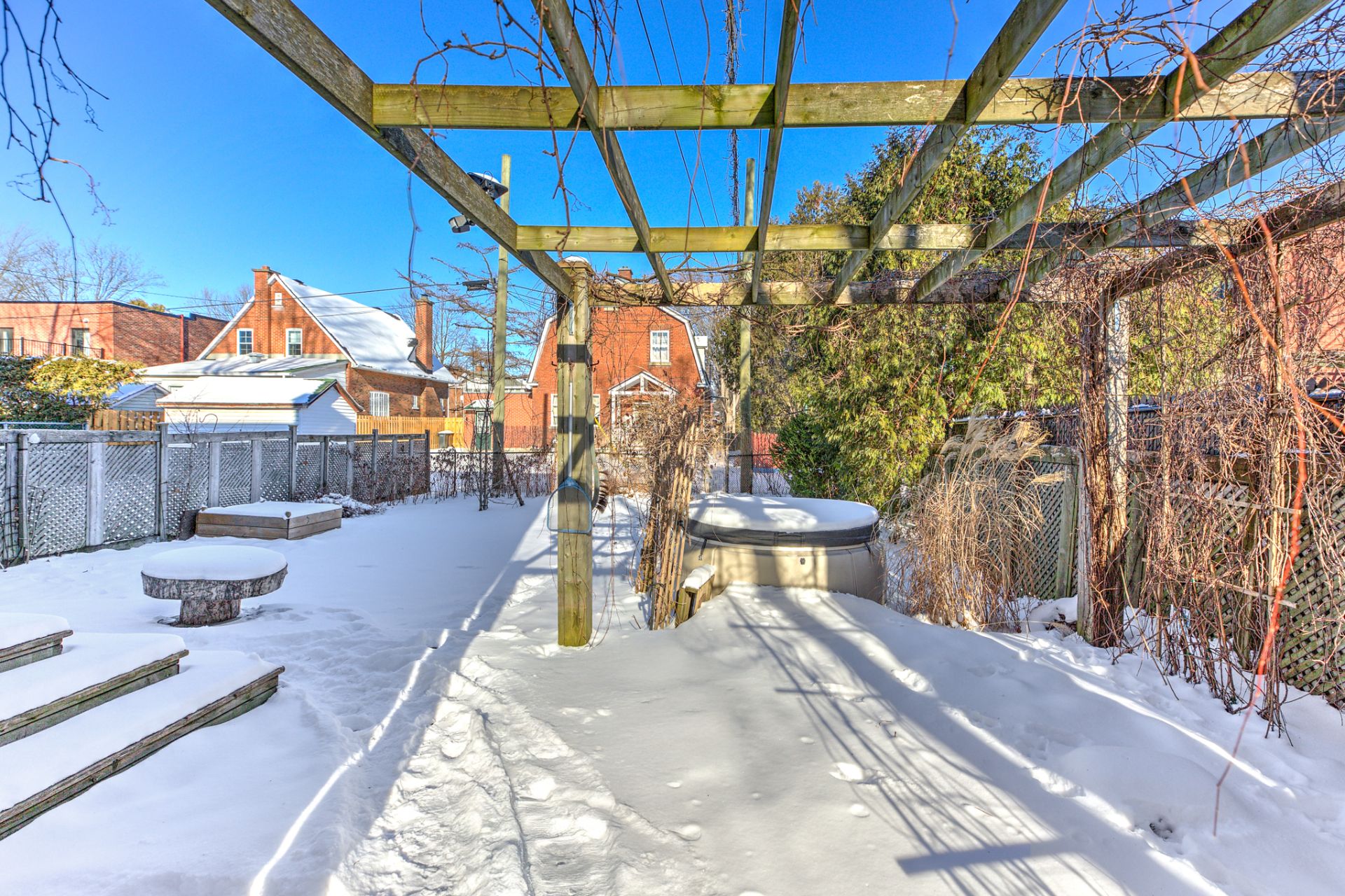 Backyard
