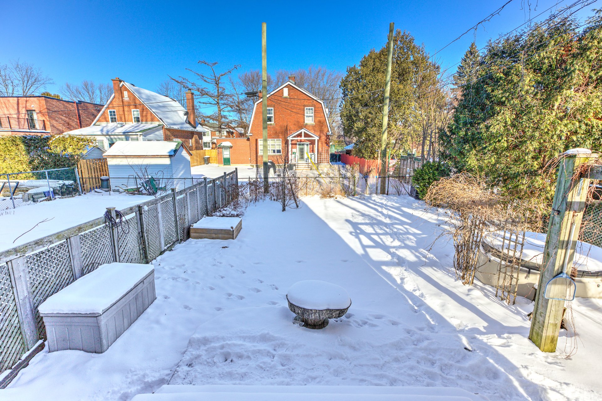 Backyard
