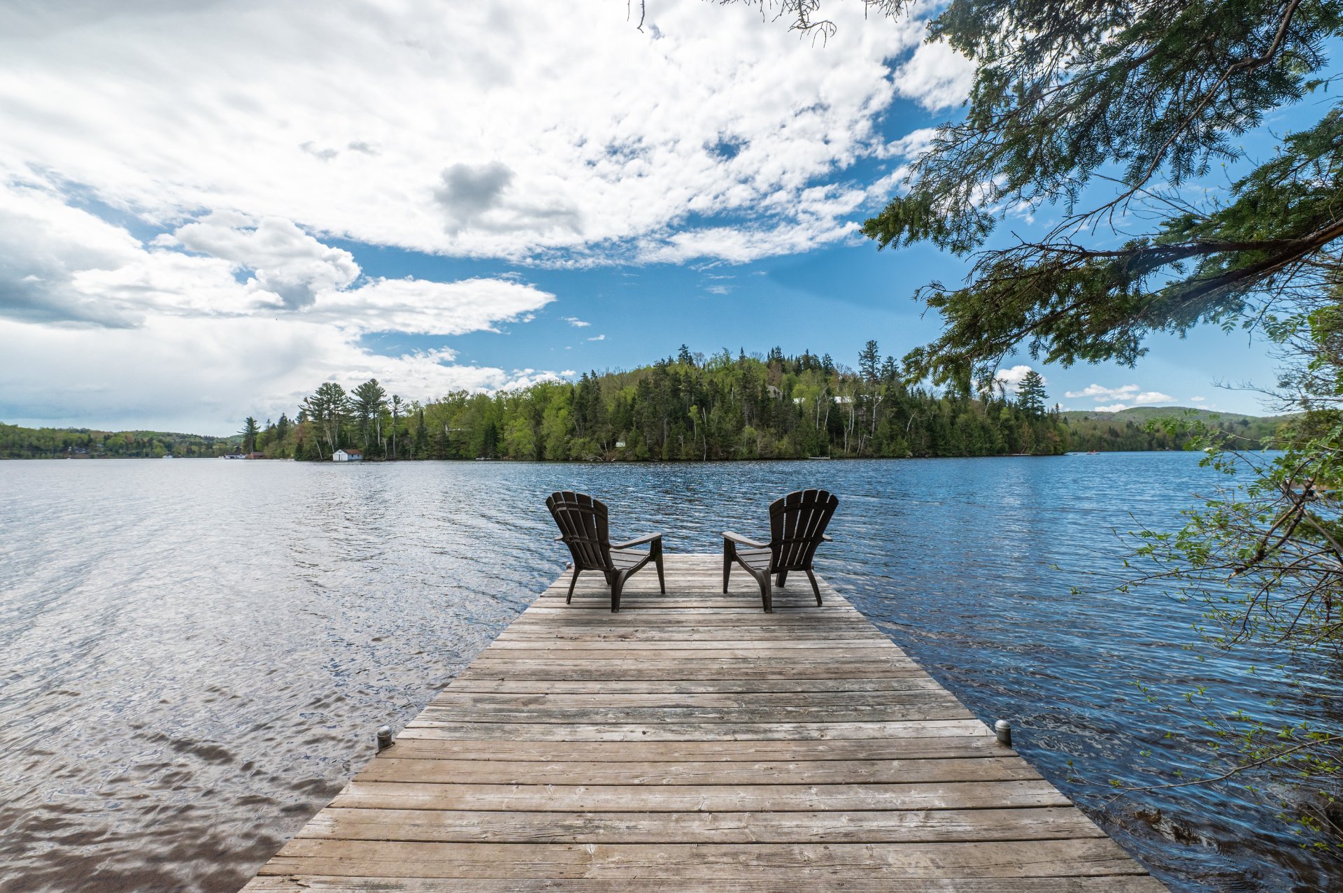 Photo - Bord de l'eau