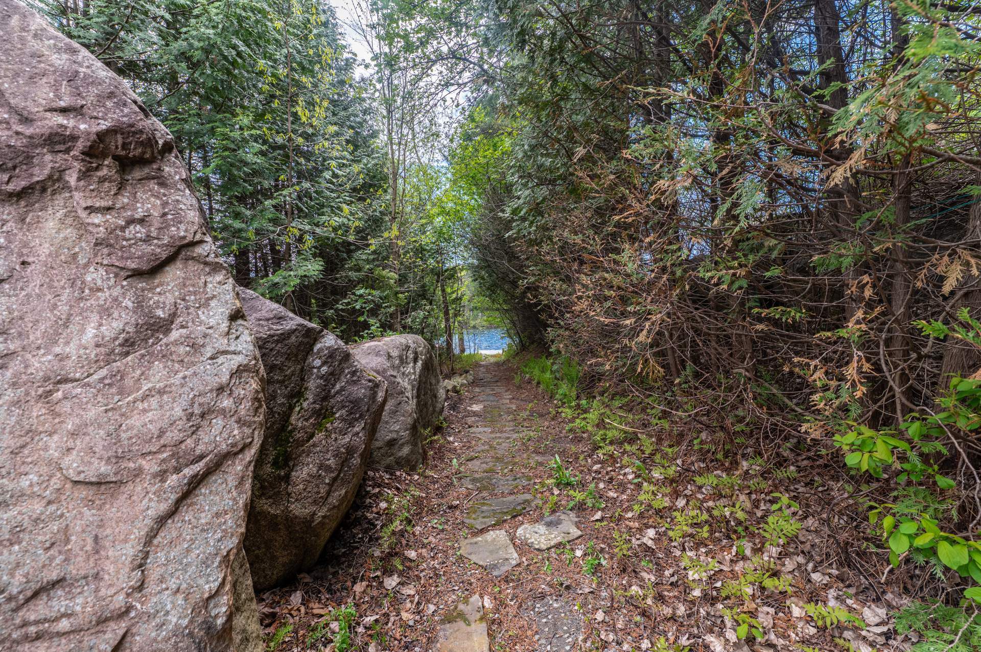 Photo - Bord de l'eau