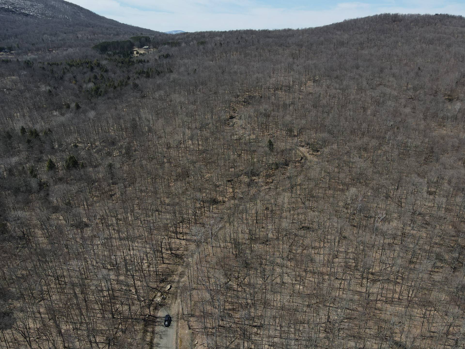 Aerial photo