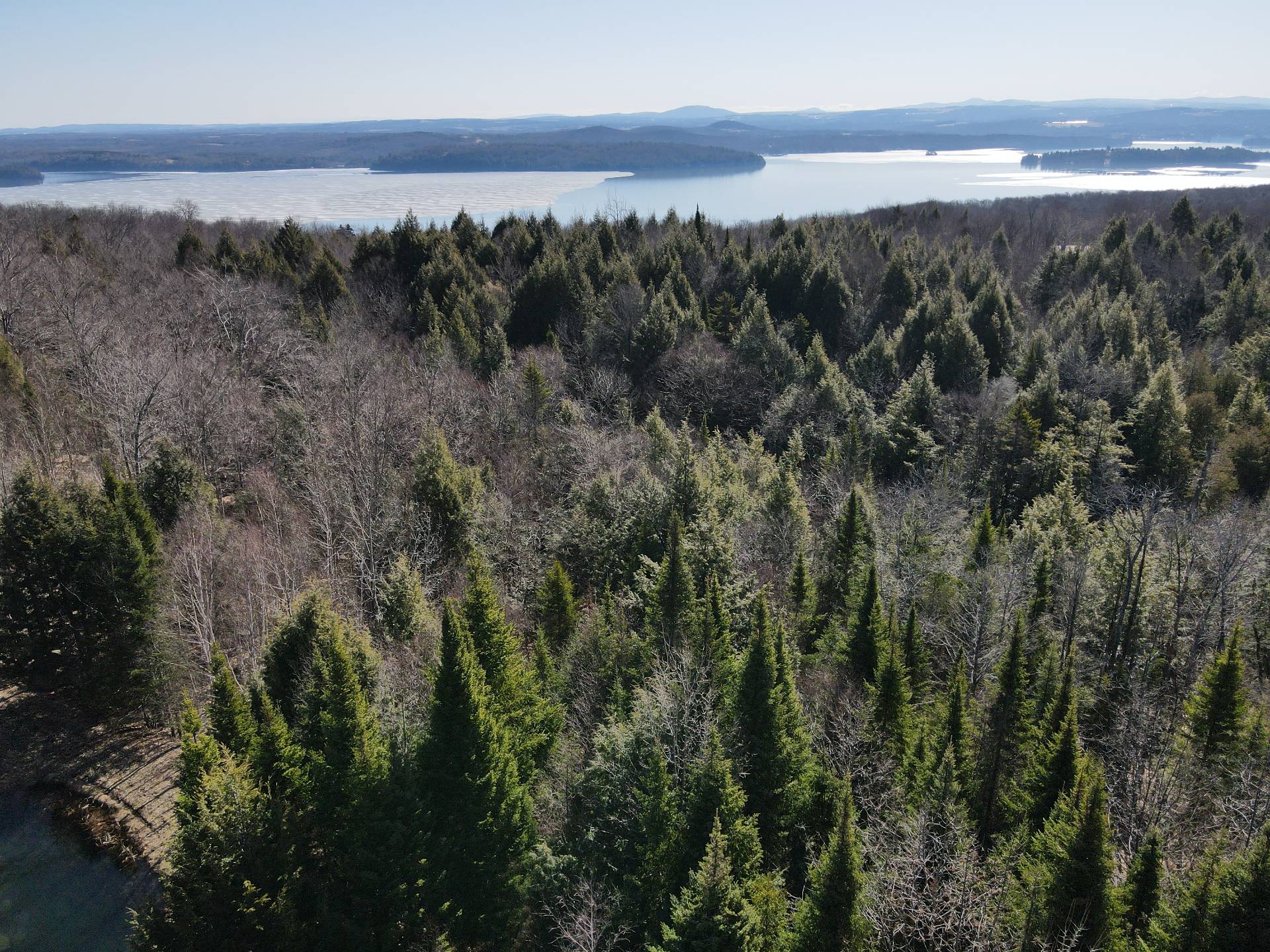 Aerial photo