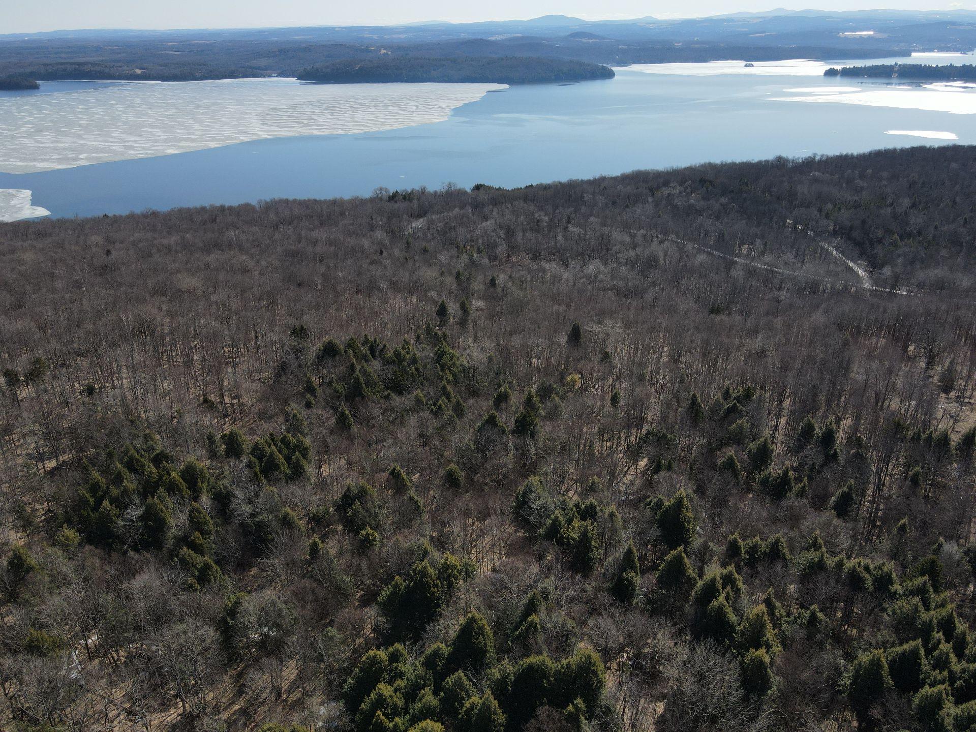 Aerial photo