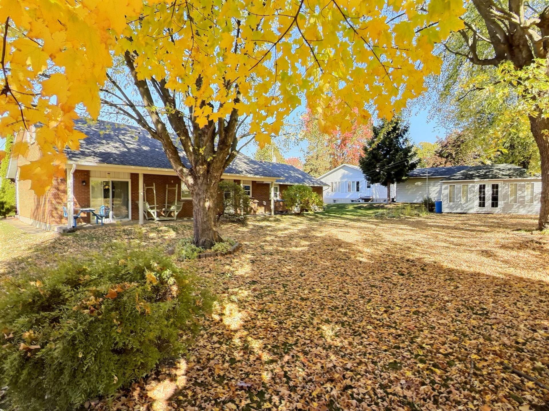 Photo - Face arrière