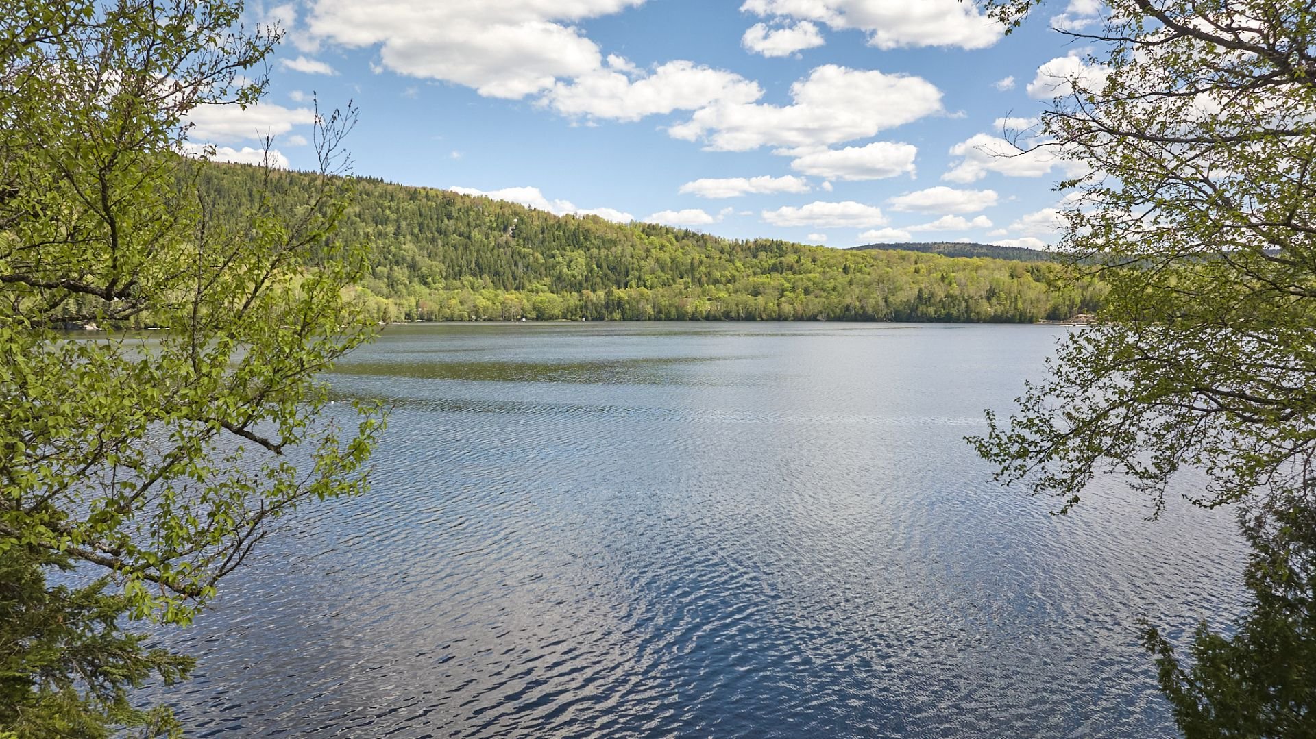 Vue sur l'eau