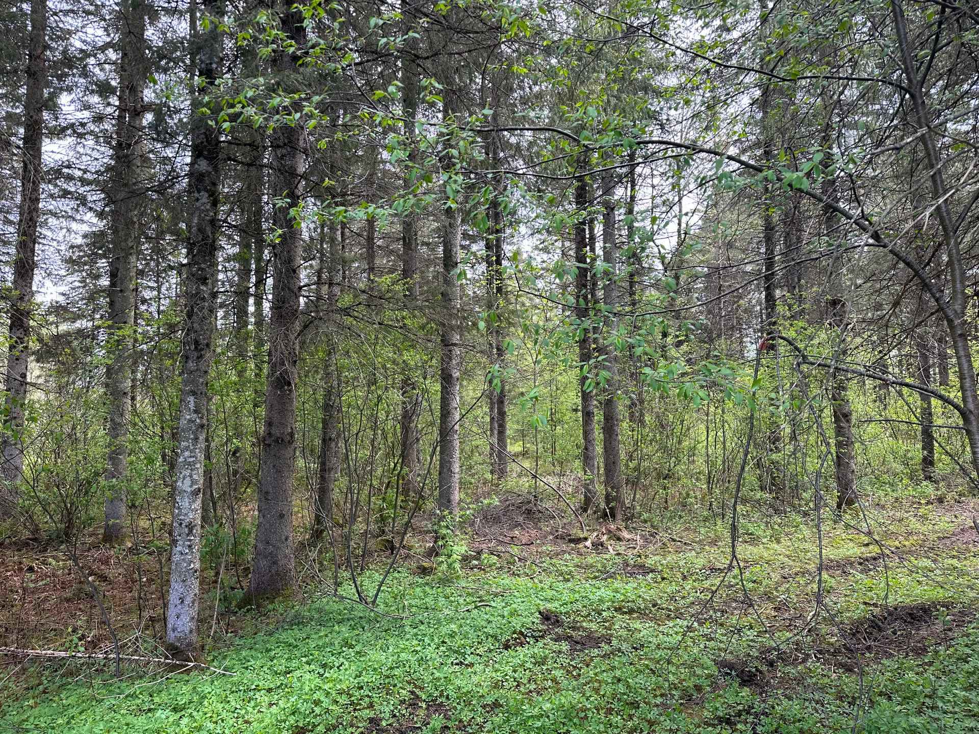 Terre/Terrain