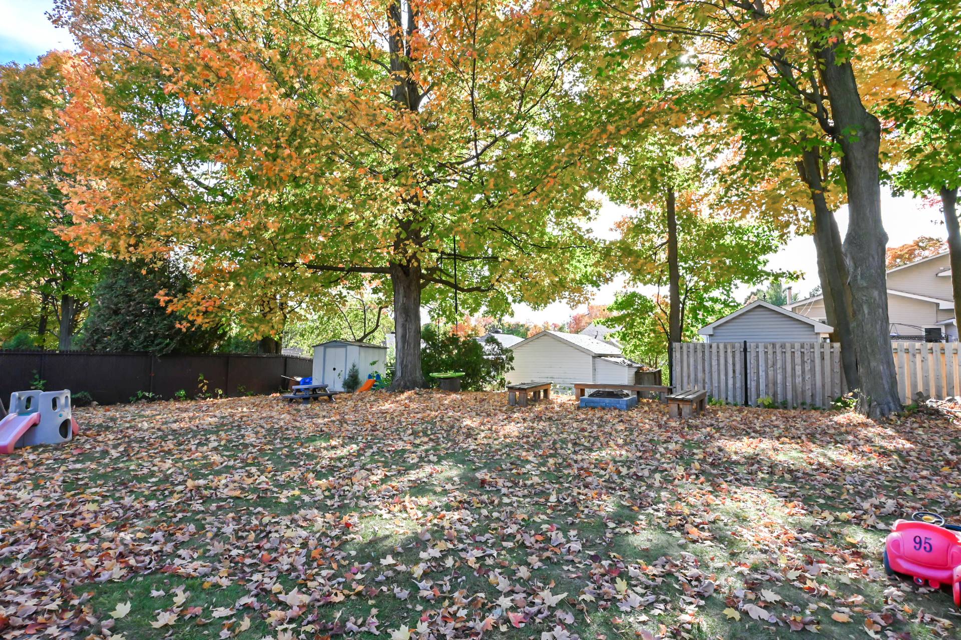 Backyard