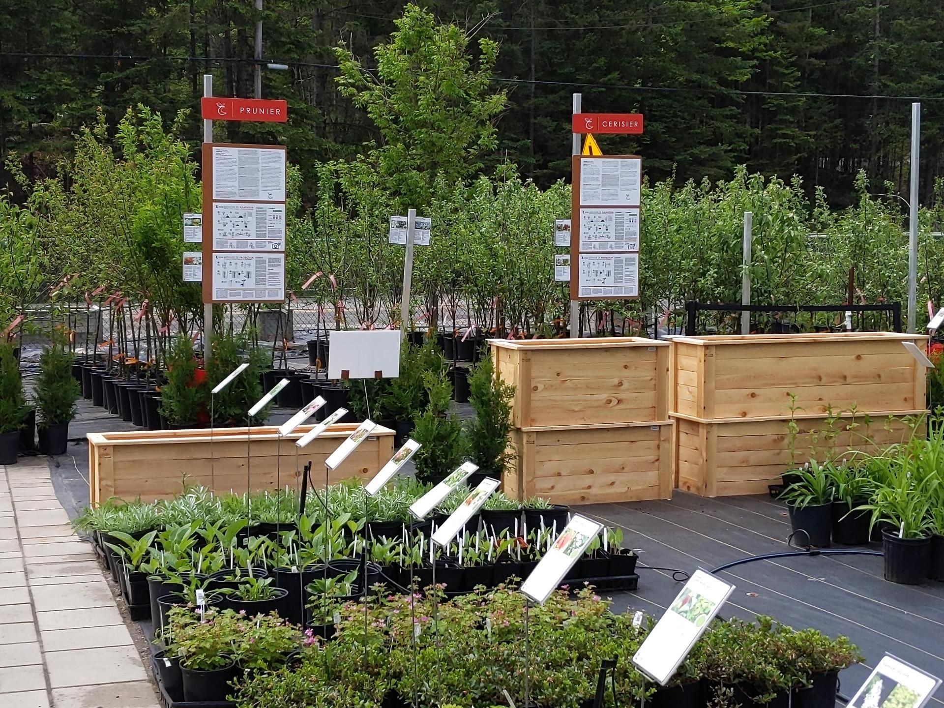 Jardin