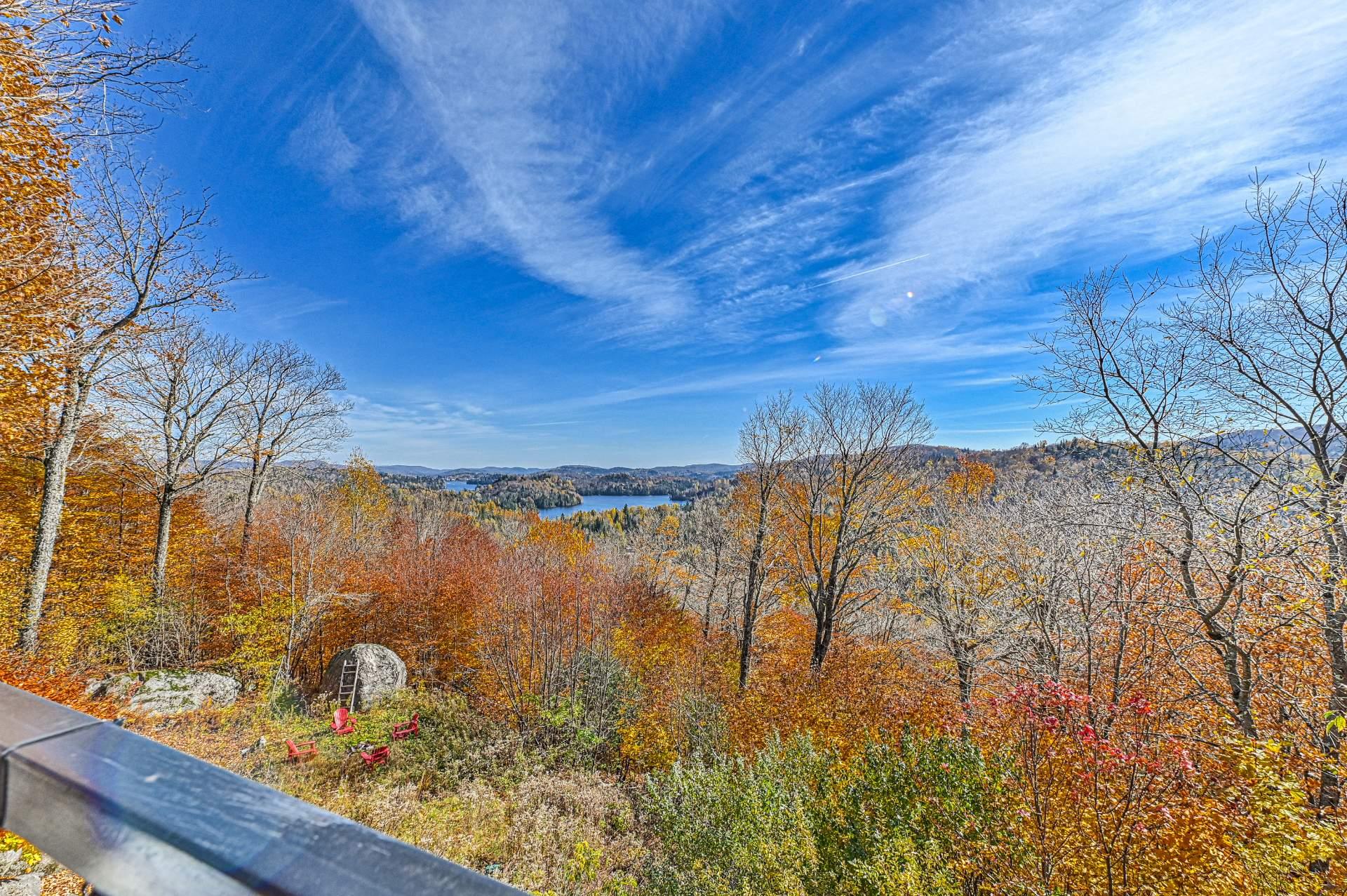 Photo - Overall View