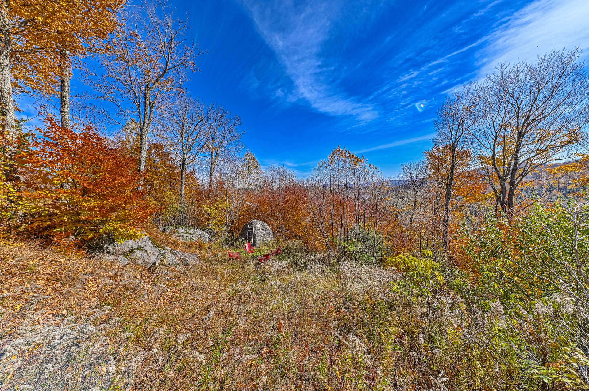 Photo - Backyard