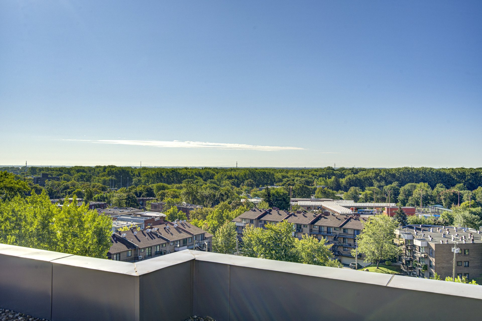Vue