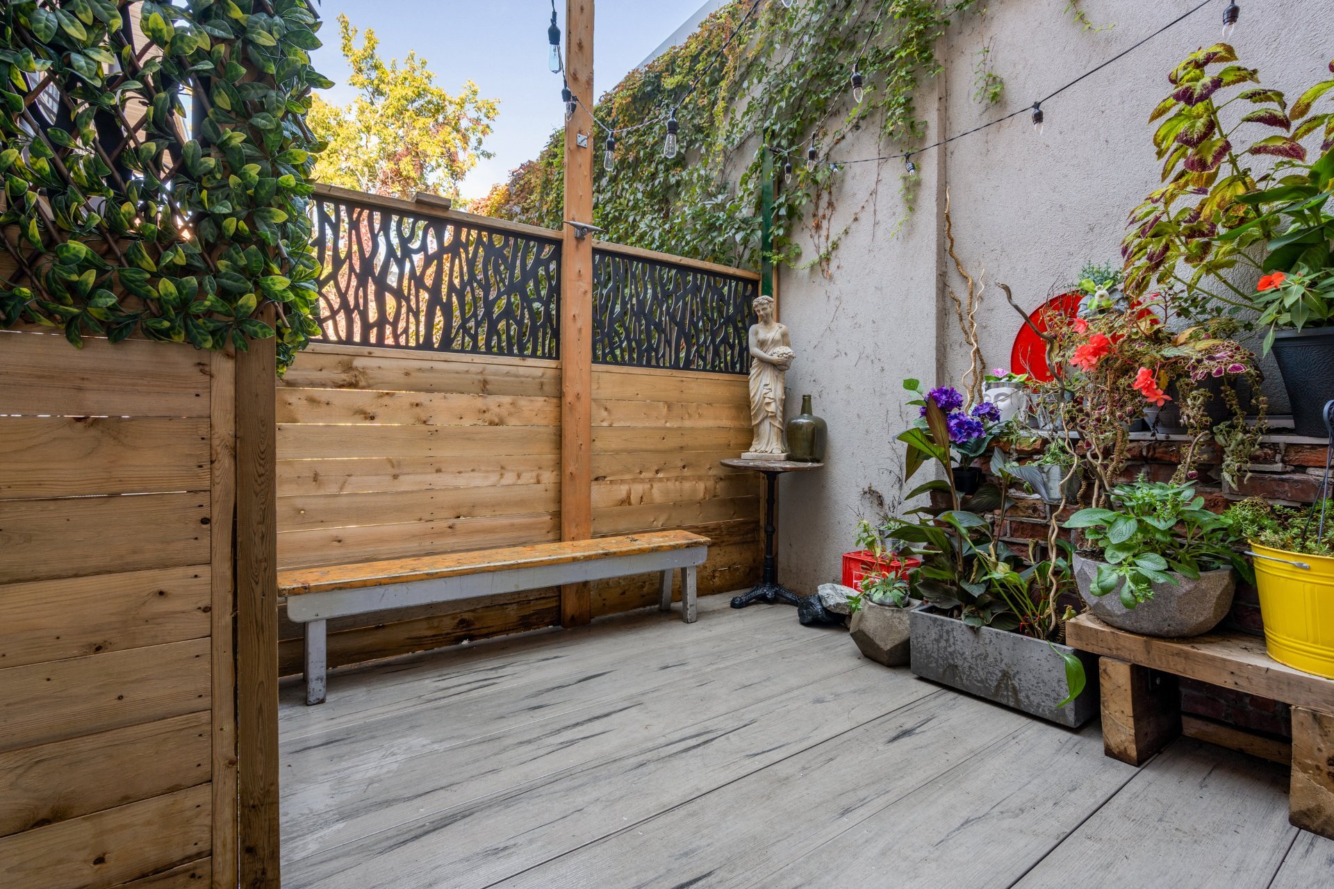 Duplex for sale, Montréal (Le Plateau-Mont-Royal)