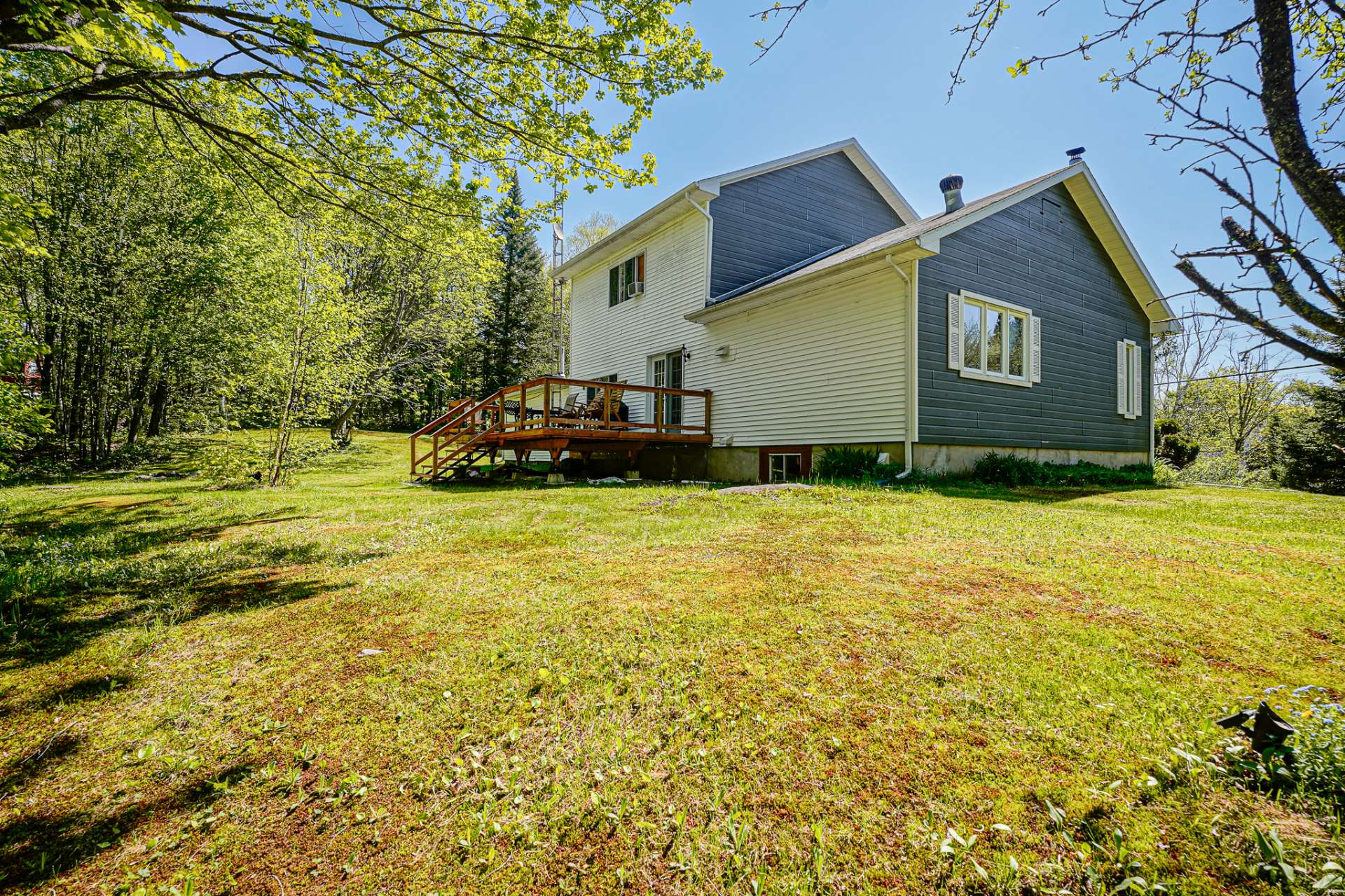 Photo - Backyard