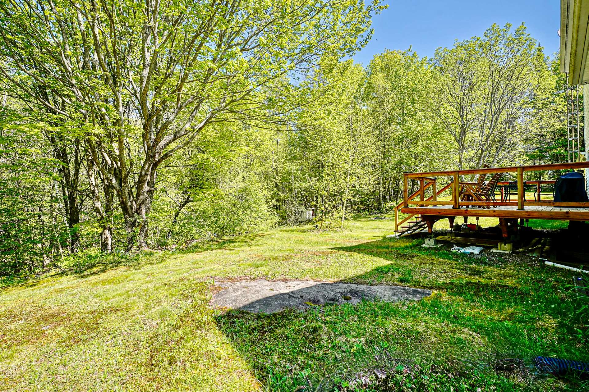 Photo - Backyard