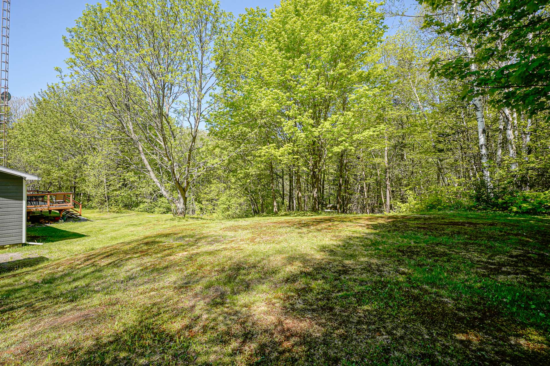 Photo - Backyard