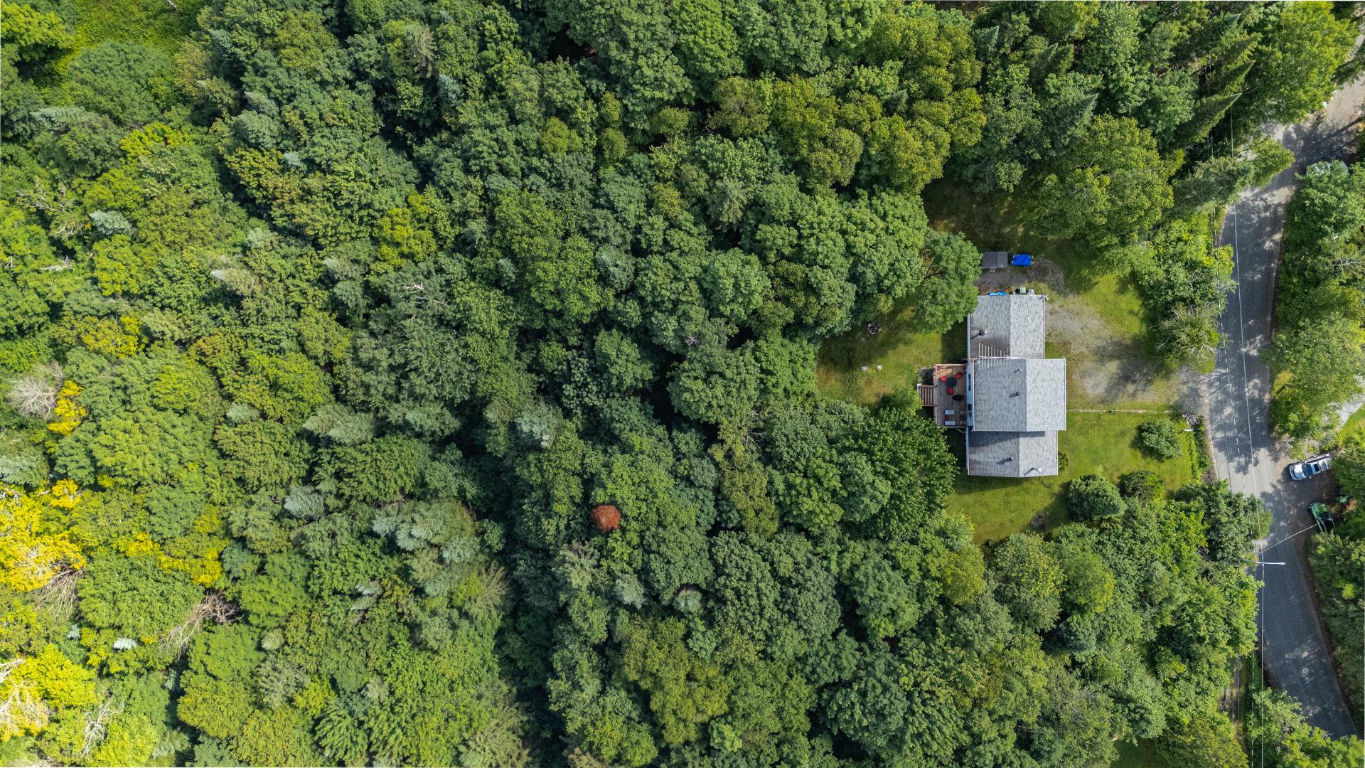 Photo - Aerial photo