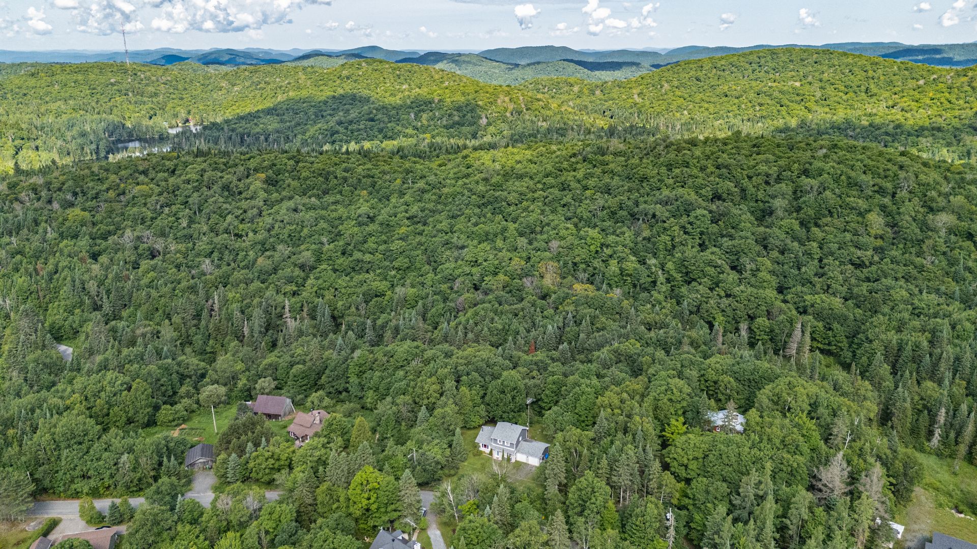 Photo - Aerial photo