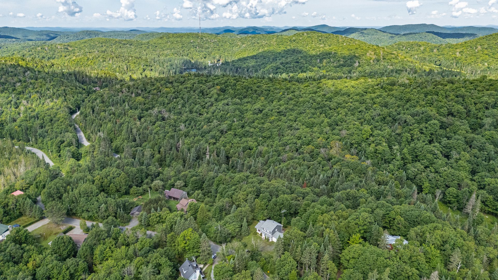 Photo - Aerial photo