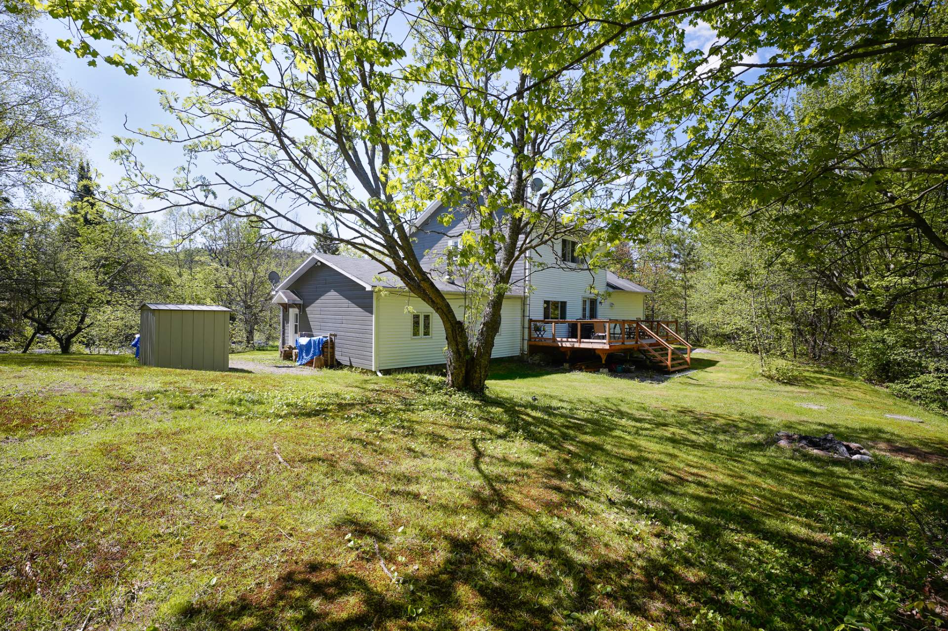 Photo - Backyard