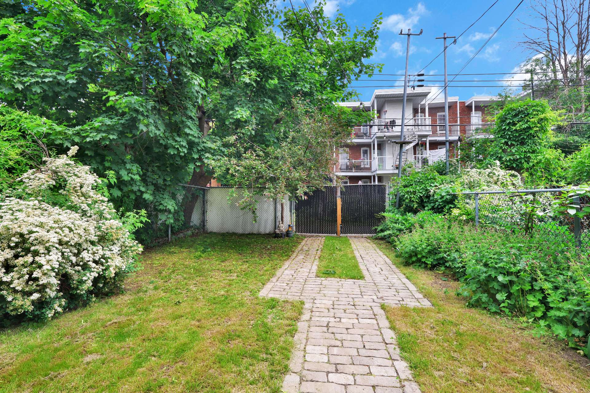 Backyard