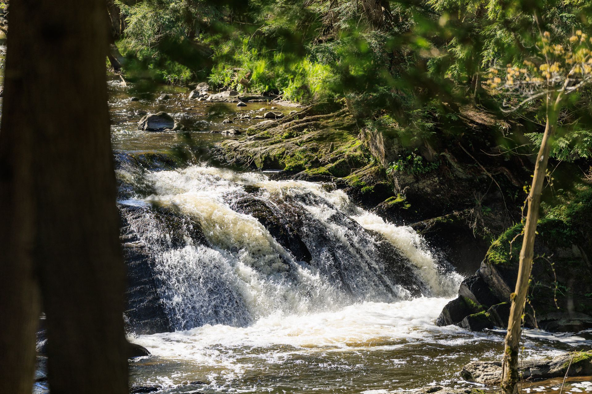 Photo - Bord de l'eau