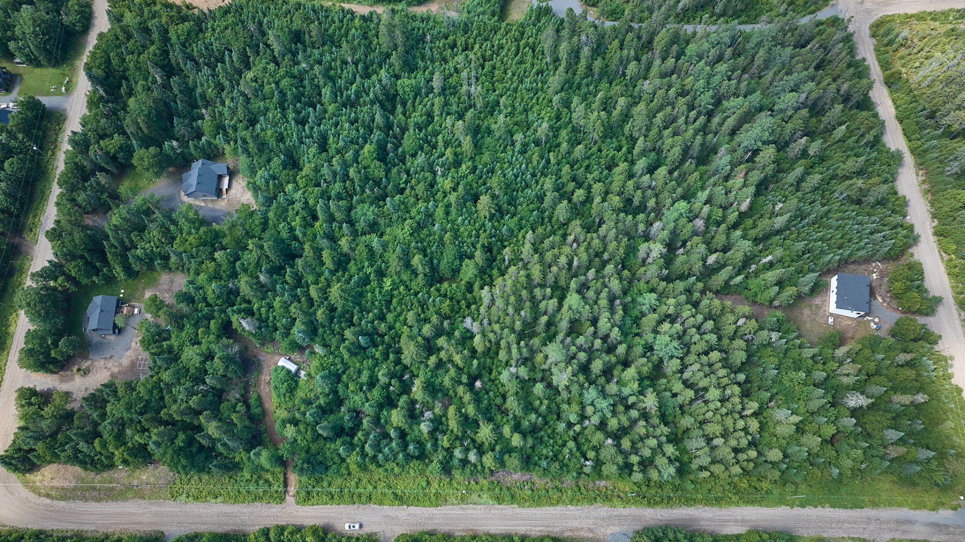 Terre/Terrain
