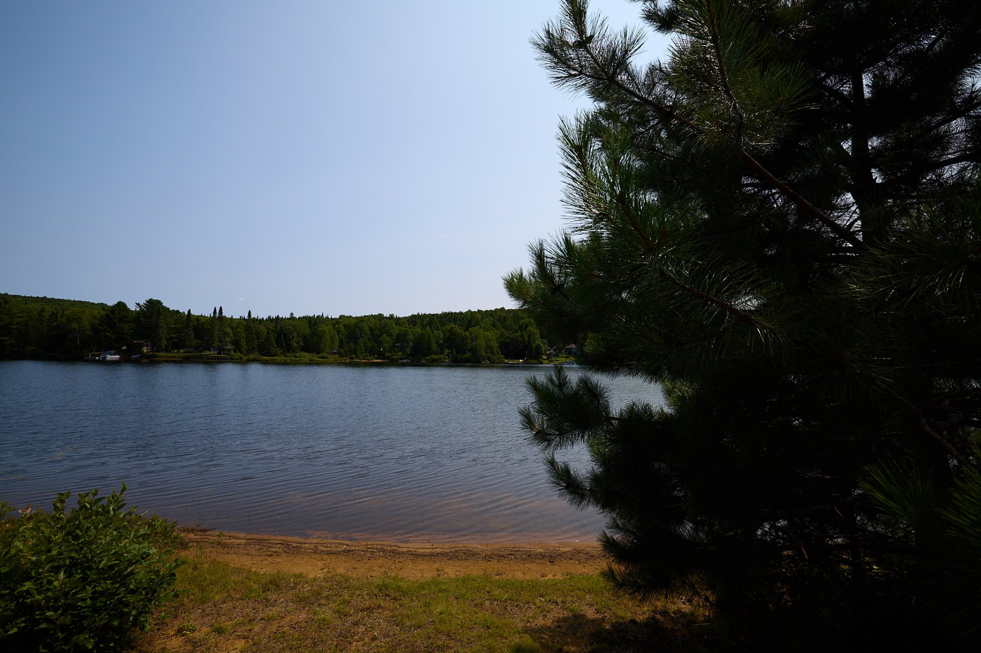 Bord de l'eau