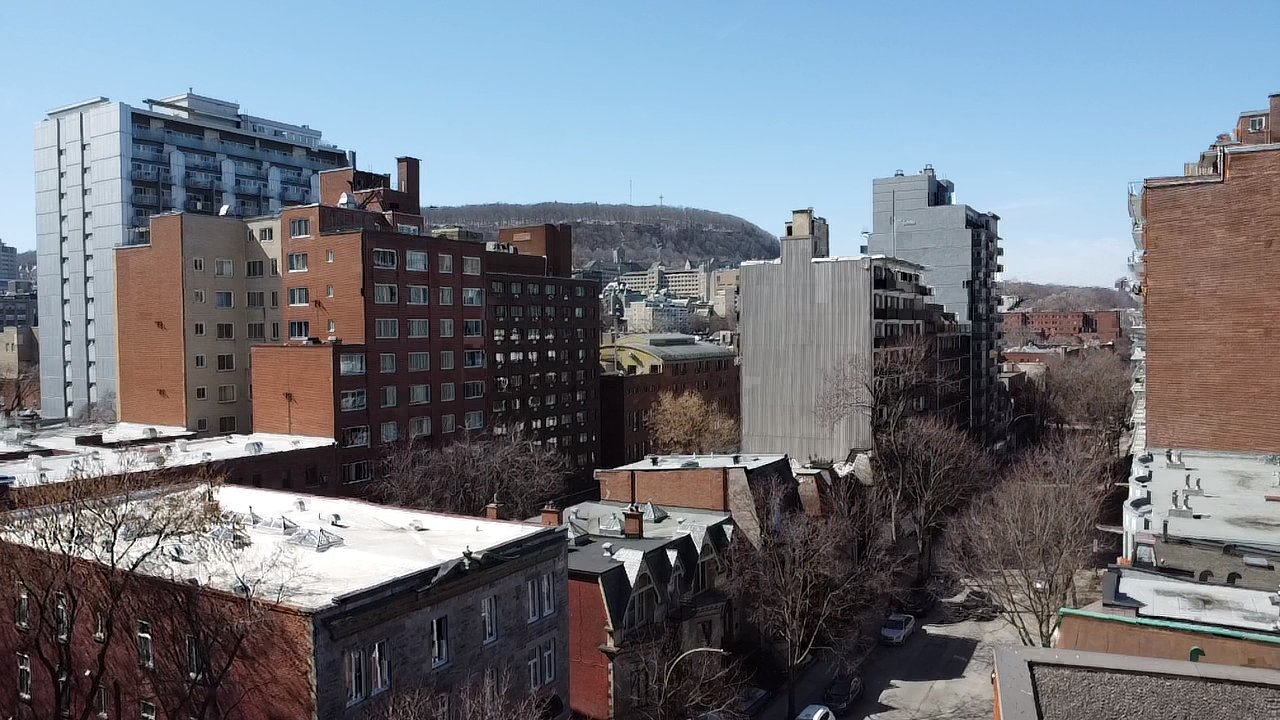 Vue