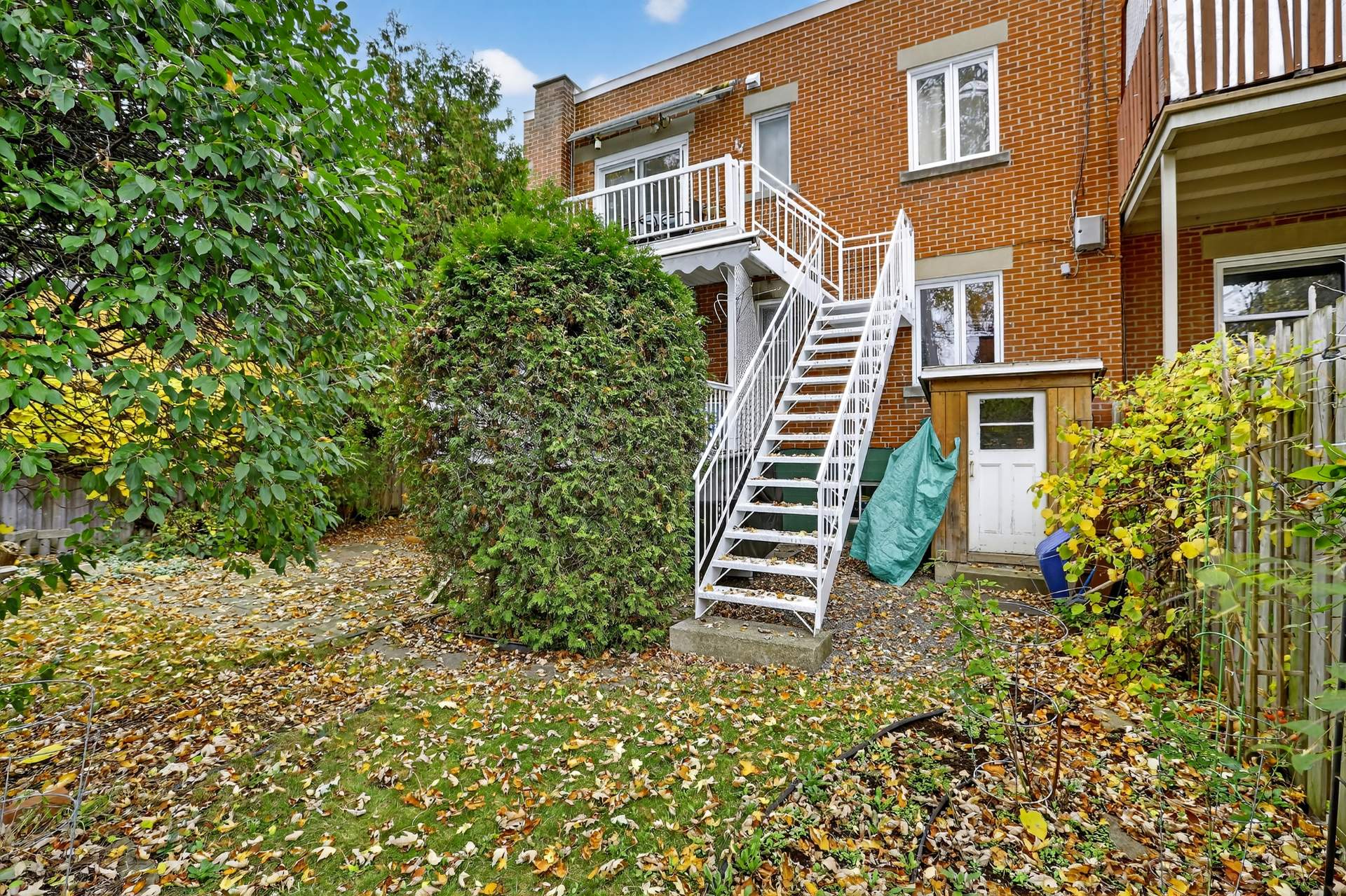 Photo - Face arrière