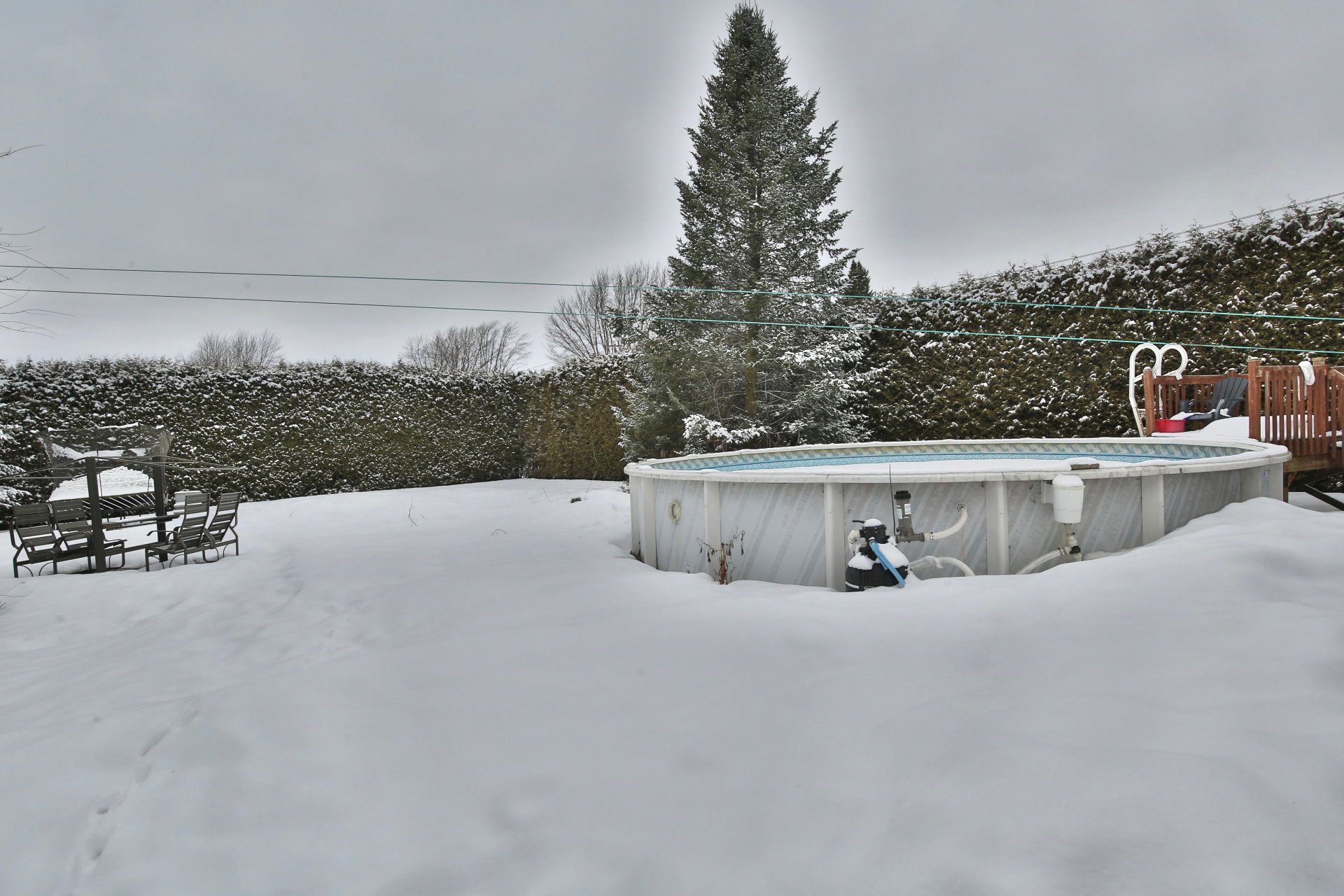 Photo - Backyard
