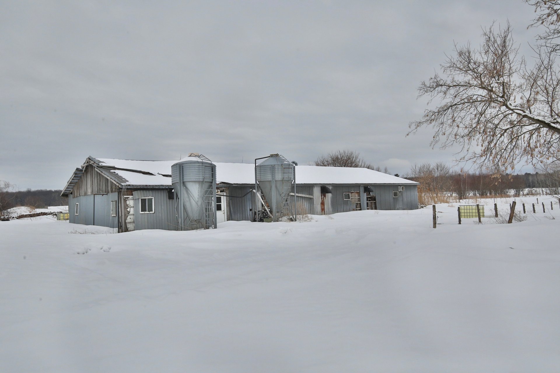 Photo - Barn